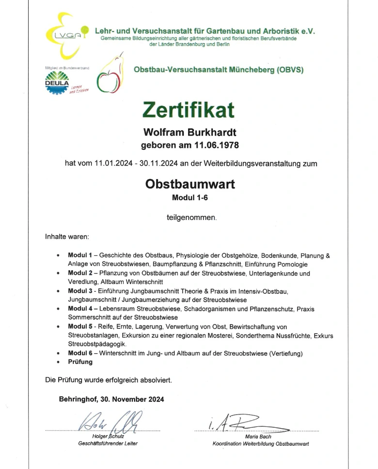 Obstbaumschnitt Wolfram Burkhardt | zertifizierter Obstbaumschnittwart | Potsdam Kleinmachnow Stahnsdorf Teltow | Berlin Steglitz-Zehlendorf