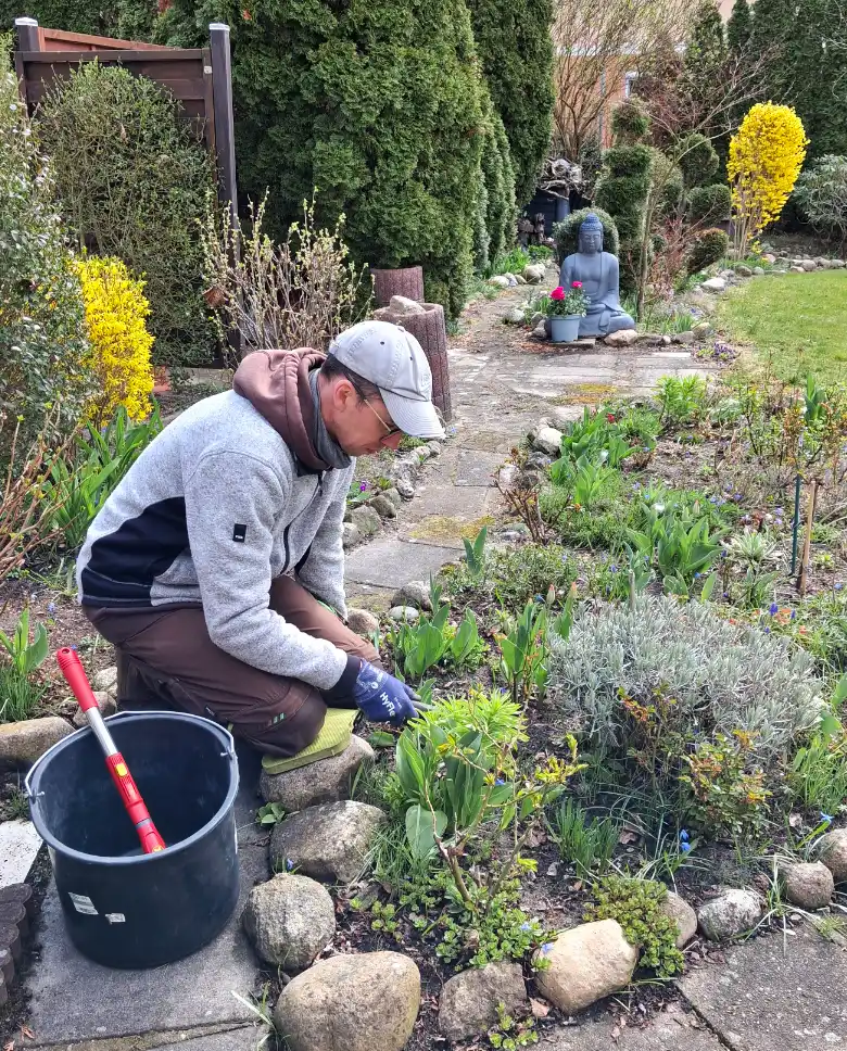 Grünes Wunder Gartenpflege Rasenpflege Beetpflege | Potsdam Kleinmachnow Stahnsdorf Teltow | Berlin Steglitz-Zehlendorf