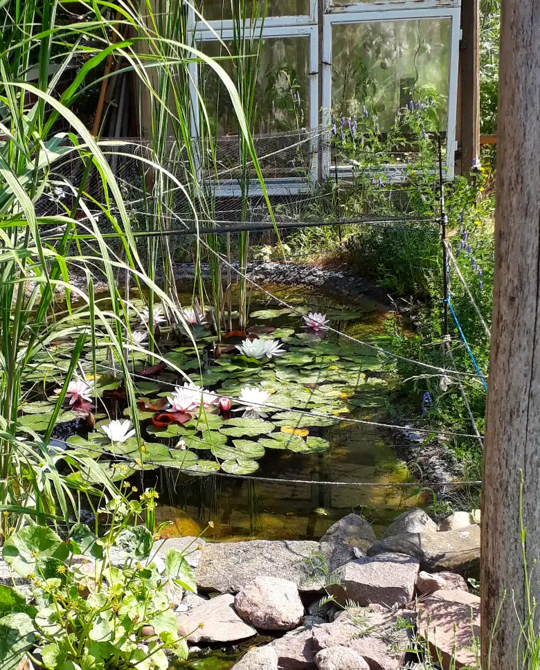 Grünes Wunder Gartengestaltung nachhaltiger Gartenbau | Potsdam Kleinmachnow Stahnsdorf Teltow | Berlin Steglitz-Zehlendorf